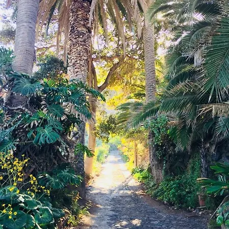 Hacienda El Socorro Los Realejos