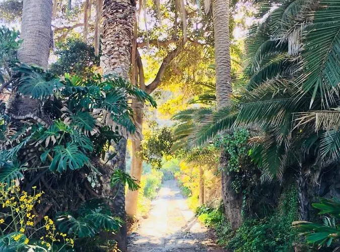 Hacienda El Socorro Los Realejos