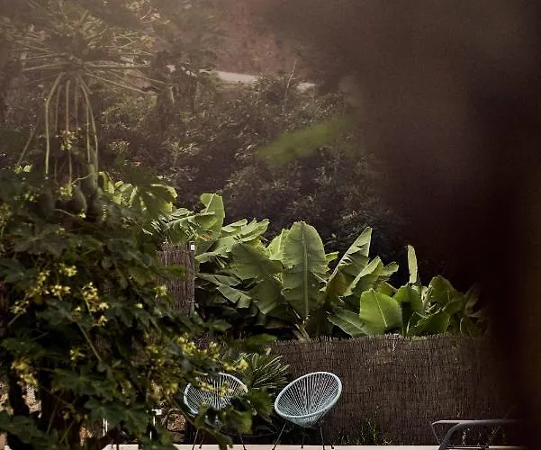 Hacienda El Socorro Willa *