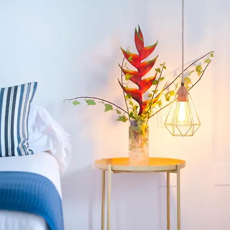 فيلة Hacienda El Socorro